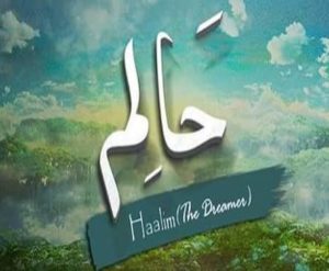 Haalim Episode 04 Free Download